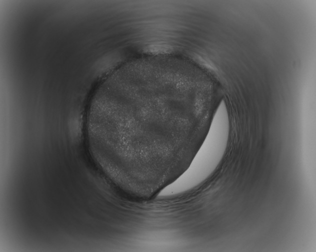 X0000088670735200706281921