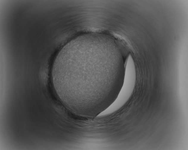 X0000088670736200706281921