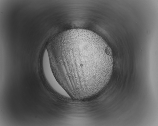 X0000088670738200706281921