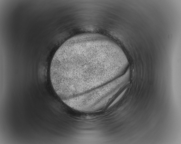 X0000088670739200706281921