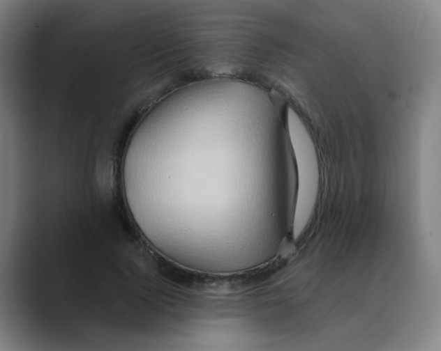 X0000088670740200706281921