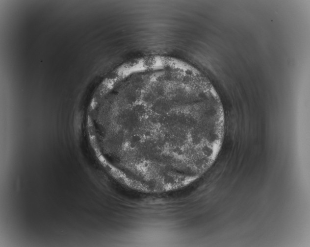 X0000088670742200706281921
