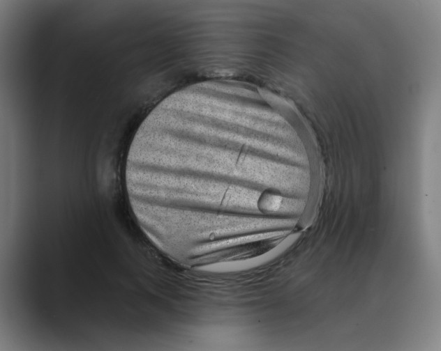 X0000088670743200706281921