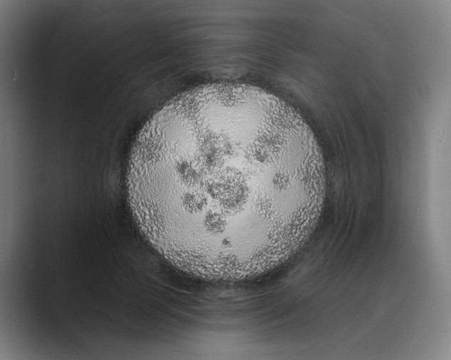 X0000088670745200706281921
