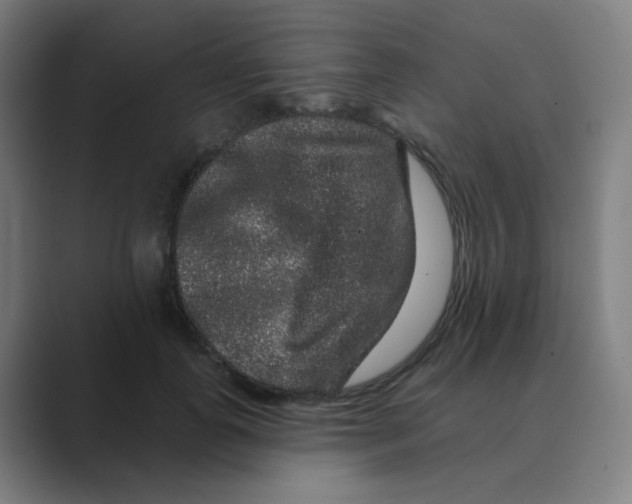 X0000088670747200706281921