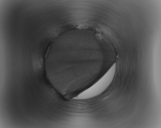 X0000088670748200706281921