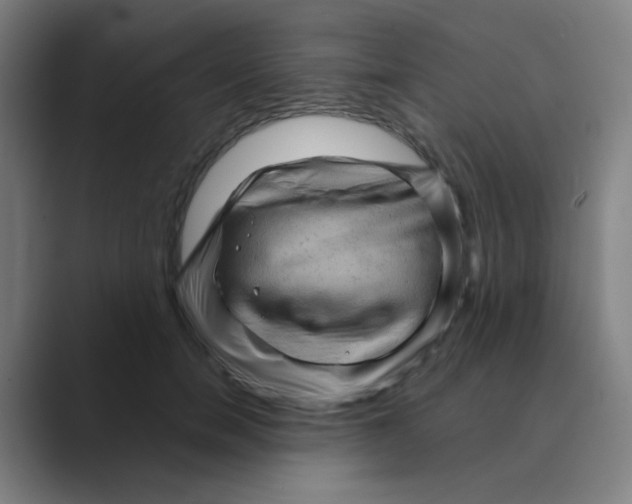X0000088670750200706281921