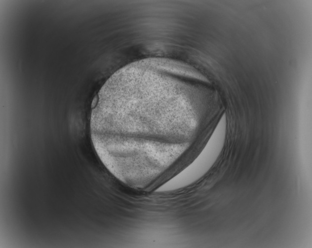 X0000088670751200706281921