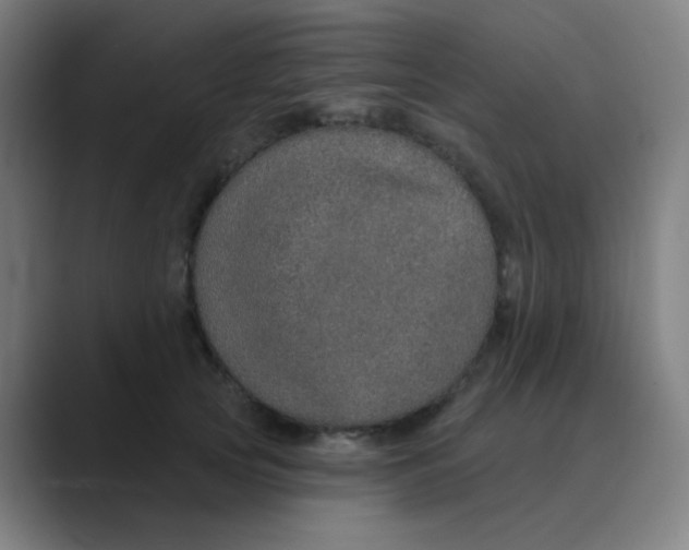 X0000088670753200706281921