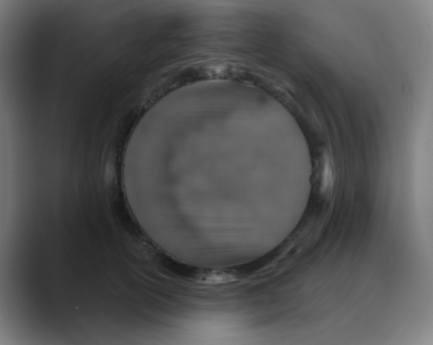 X0000088670754200706281921