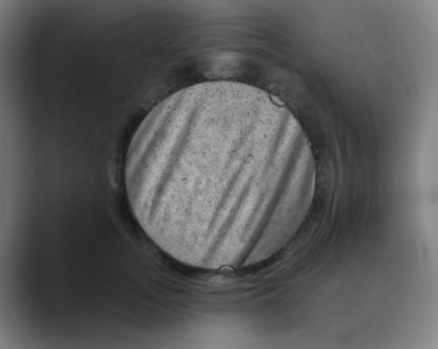 X0000088670755200706281921