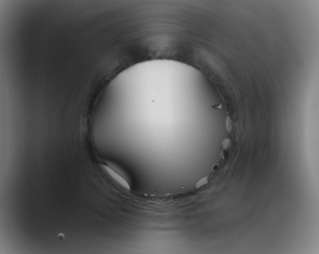 X0000088670756200706281921
