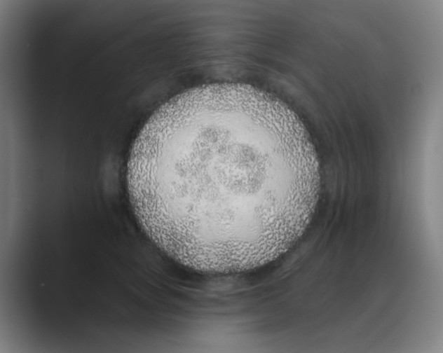X0000088670757200706281921