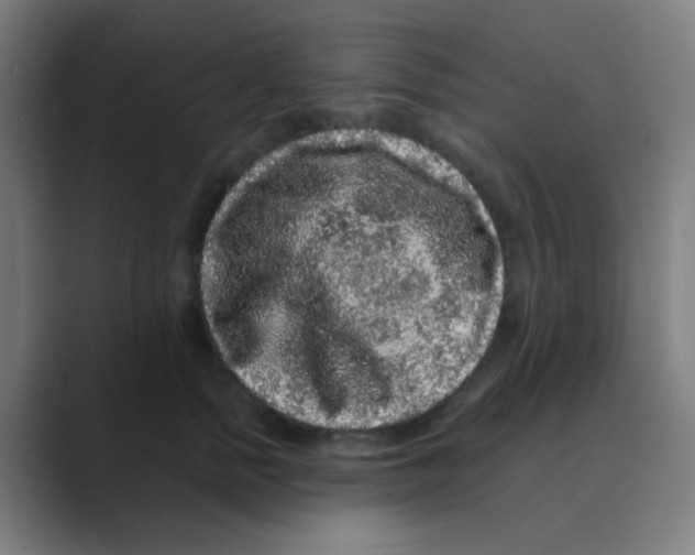 X0000088670758200706281921