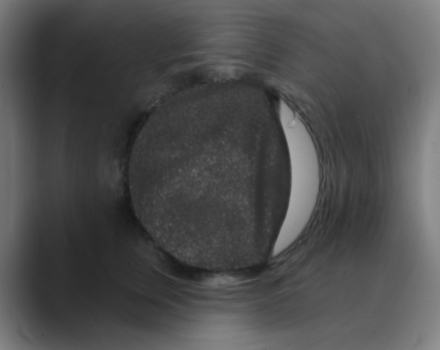 X0000088670759200706281921