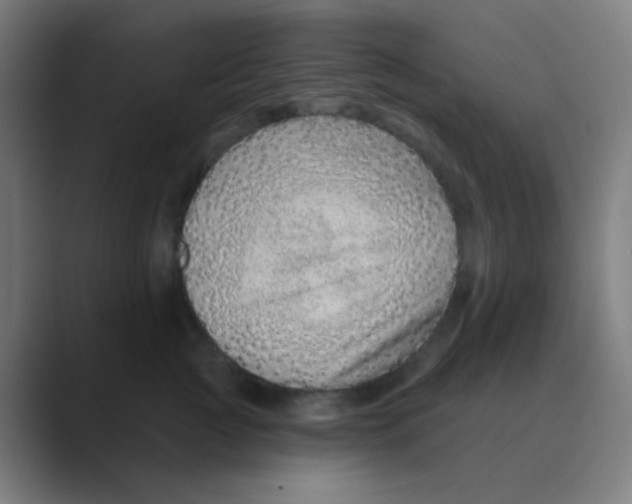 X0000088670761200706281921