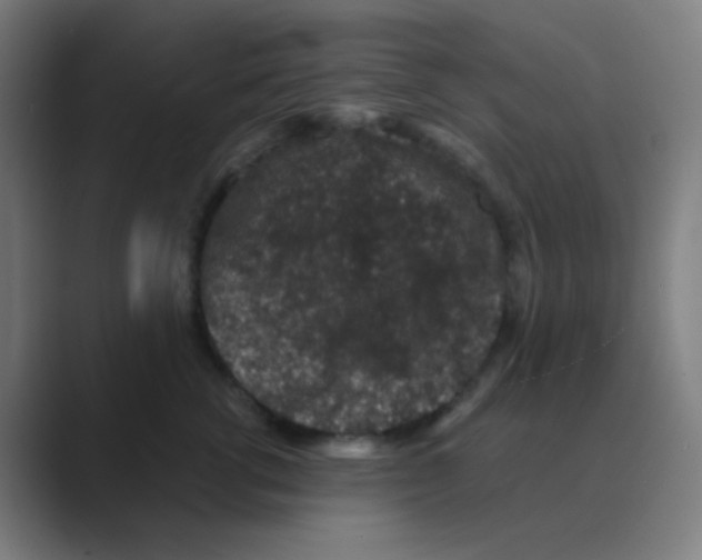 X0000088670762200706281921