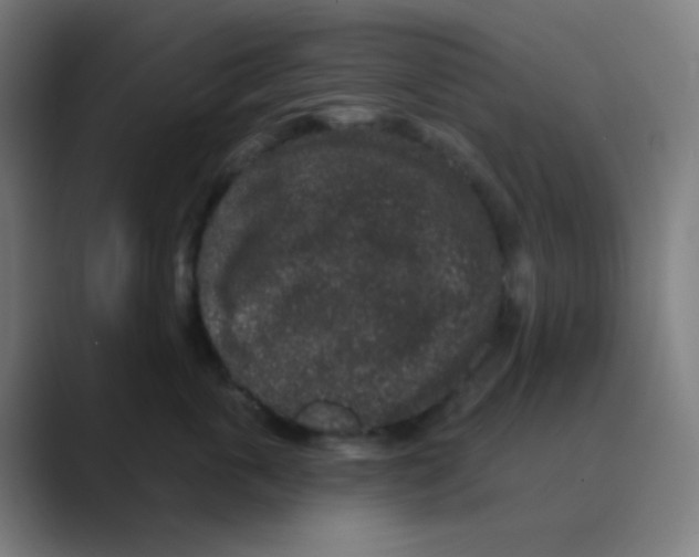 X0000088670763200706281921