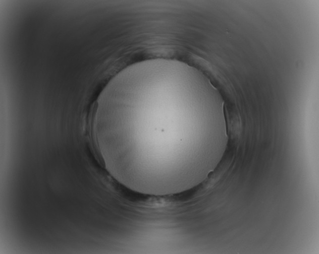 X0000088670764200706281921