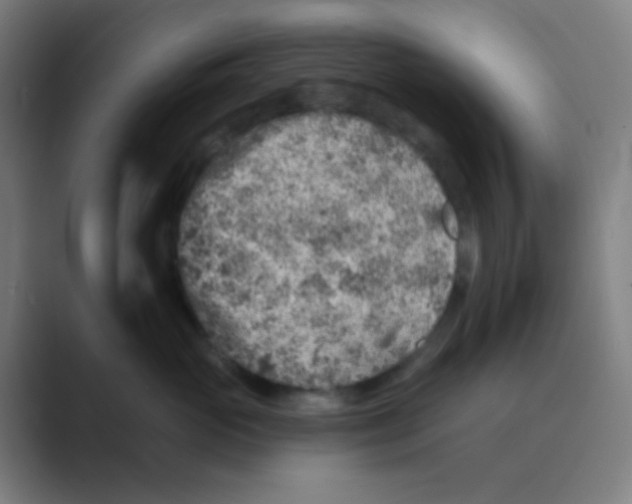 X0000088670765200706281921