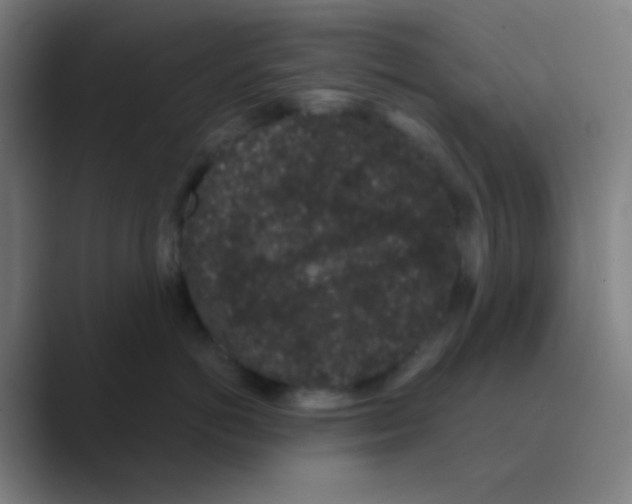 X0000088670766200706281921