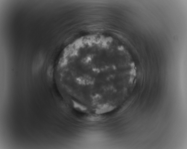 X0000088670767200706281921