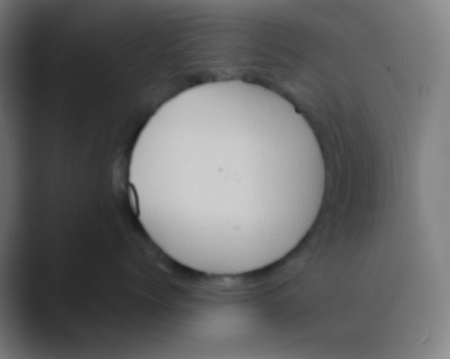 X0000088670768200706281921