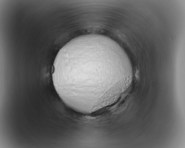 X0000088670771200706281921