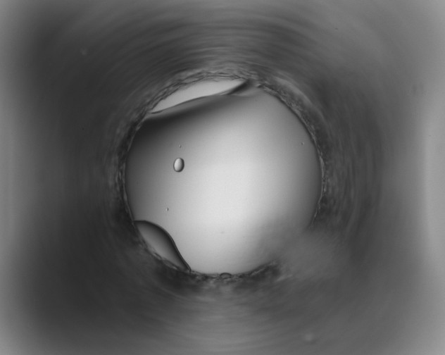 X0000088670773200706281921