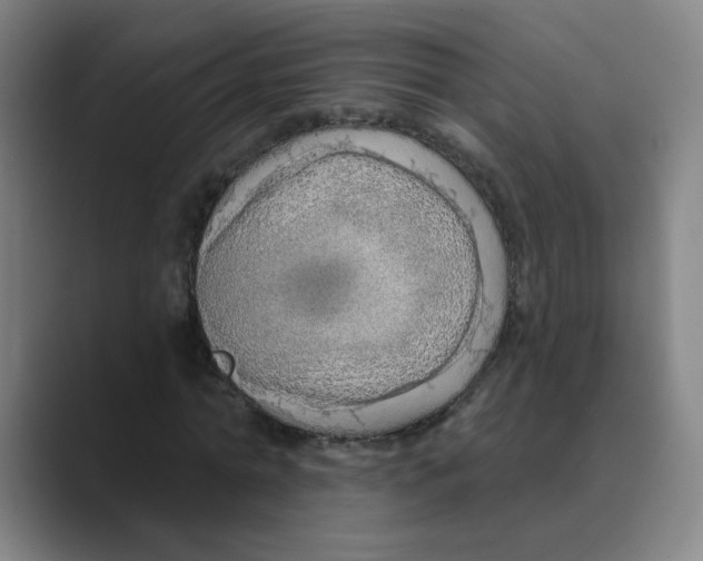 X0000088670774200706281921