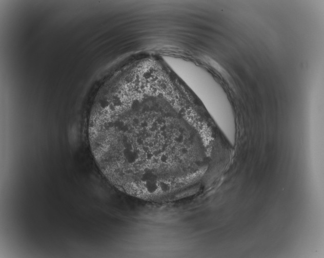 X0000088670775200706281921