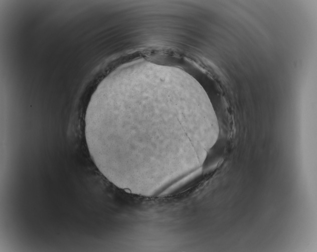 X0000088670776200706281921