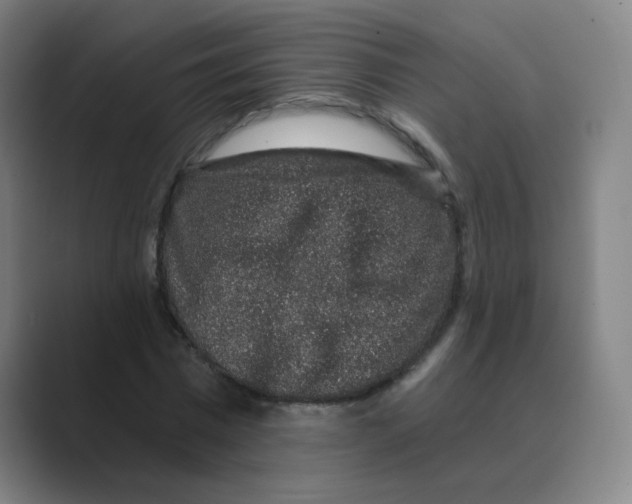 X0000088670777200706281921