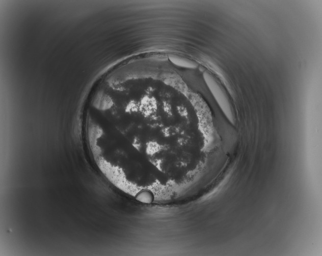 X0000088670779200706281921