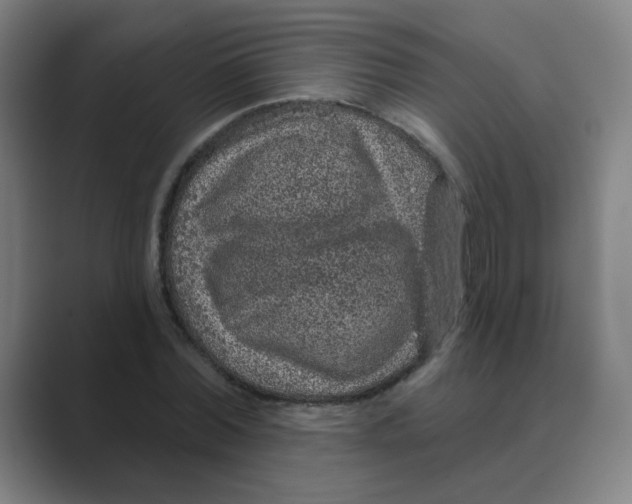X0000088670780200706281921