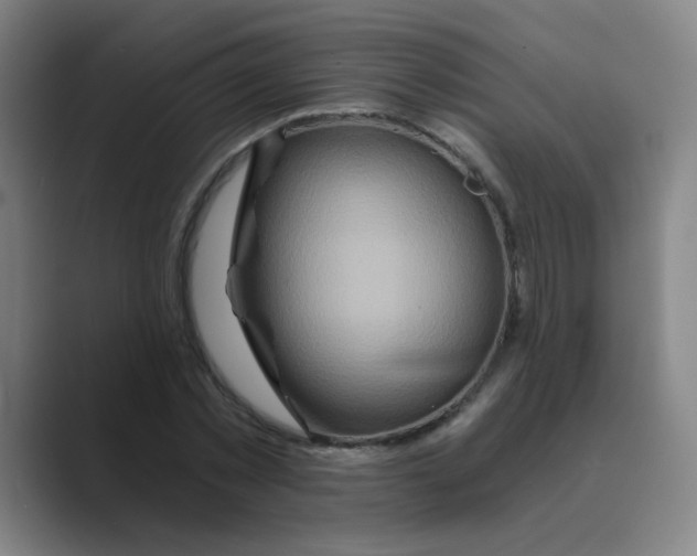 X0000088670781200706281921