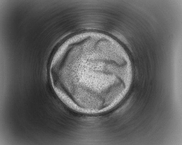 X0000088670782200706281921