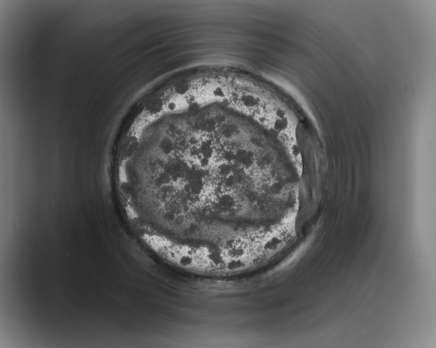 X0000088670783200706281921