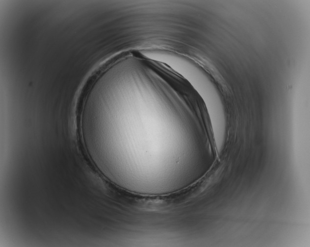 X0000088670784200706281921