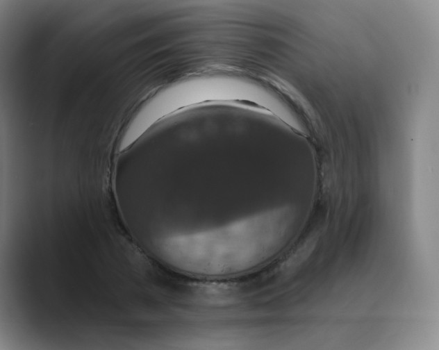 X0000088670785200706281921