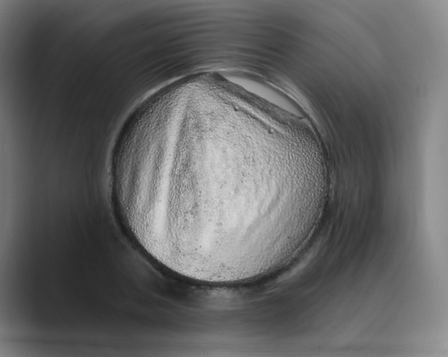 X0000088670787200706281920