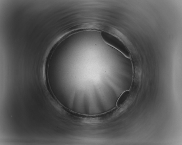 X0000088670788200706281920
