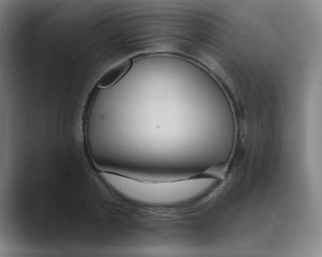 X0000088670789200706281920