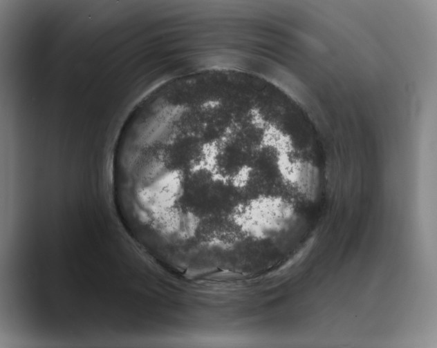 X0000088670790200706281920