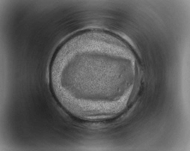 X0000088670791200706281920