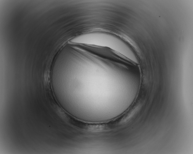 X0000088670793200706281920