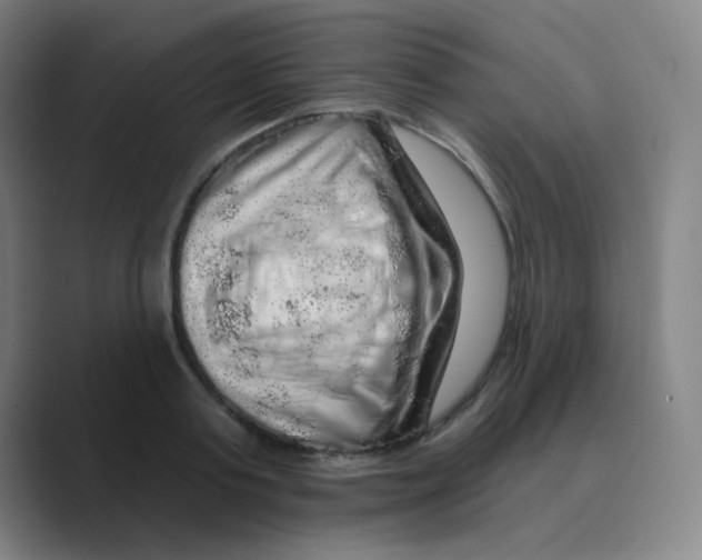 X0000088670795200706281920