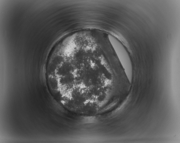 X0000088670798200706281920