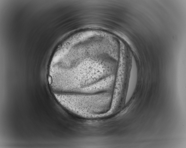 X0000088670799200706281920