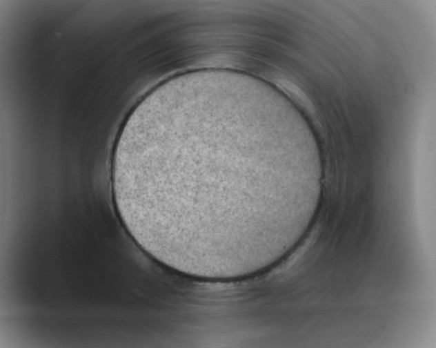 X0000088670800200706281920